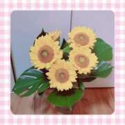 ヒメ日記 2025/02/25 06:45 投稿 しいな 妻天 京橋店