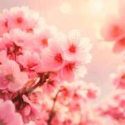 ヒメ日記 2025/03/14 03:43 投稿 しいな 妻天 京橋店