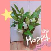 ヒメ日記 2025/03/20 04:11 投稿 しいな 妻天 京橋店