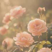 ヒメ日記 2025/03/26 05:53 投稿 しいな 妻天 京橋店