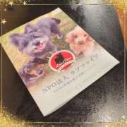 ヒメ日記 2025/03/26 19:43 投稿 しいな 妻天 京橋店