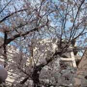 ヒメ日記 2025/03/30 09:03 投稿 しいな 妻天 京橋店