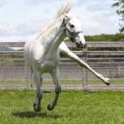 ヒメ日記 2025/04/19 13:03 投稿 しいな 妻天 京橋店