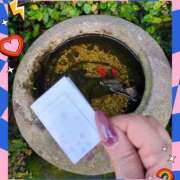 ヒメ日記 2025/04/30 15:23 投稿 しいな 妻天 京橋店