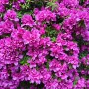 ヒメ日記 2025/05/07 12:49 投稿 しいな 妻天 京橋店