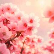 ヒメ日記 2025/05/13 07:59 投稿 しいな 妻天 京橋店