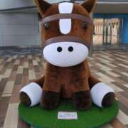 ヒメ日記 2025/05/17 20:00 投稿 しいな 妻天 京橋店