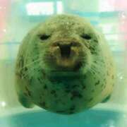 ヒメ日記 2025/05/22 19:18 投稿 しいな 妻天 京橋店