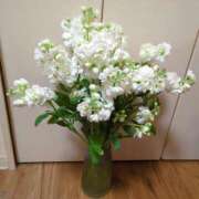 ヒメ日記 2025/05/28 05:39 投稿 しいな 妻天 京橋店