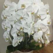 ヒメ日記 2025/06/03 18:15 投稿 しいな 妻天 京橋店