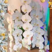 ヒメ日記 2025/06/25 10:48 投稿 しいな 妻天 京橋店