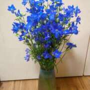 ヒメ日記 2025/07/17 07:51 投稿 しいな 妻天 京橋店