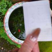 ヒメ日記 2025/07/28 15:02 投稿 しいな 妻天 京橋店