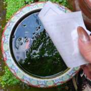 ヒメ日記 2025/08/02 15:21 投稿 しいな 妻天 京橋店