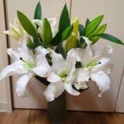 ヒメ日記 2025/08/06 08:41 投稿 しいな 妻天 京橋店