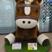 ヒメ日記 2025/08/08 13:31 投稿 しいな 妻天 京橋店