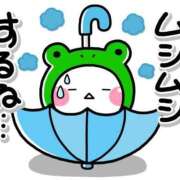 ヒメ日記 2025/08/12 08:21 投稿 しいな 妻天 京橋店