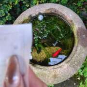 ヒメ日記 2025/08/14 15:27 投稿 しいな 妻天 京橋店