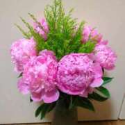 ヒメ日記 2025/08/28 07:17 投稿 しいな 妻天 京橋店