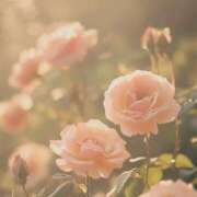 ヒメ日記 2025/09/06 09:04 投稿 しいな 妻天 京橋店