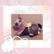 ヒメ日記 2025/09/07 23:47 投稿 しいな 妻天 京橋店