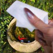 ヒメ日記 2025/09/19 15:19 投稿 しいな 妻天 京橋店