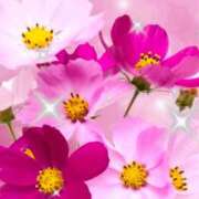 ヒメ日記 2025/10/05 07:08 投稿 しいな 妻天 京橋店