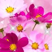 ヒメ日記 2025/10/08 20:20 投稿 しいな 妻天 京橋店