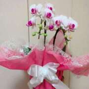 ヒメ日記 2025/10/11 22:21 投稿 しいな 妻天 京橋店