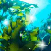 ヒメ日記 2025/10/13 18:08 投稿 しいな 妻天 京橋店