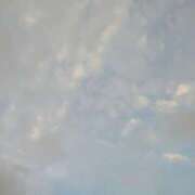 ヒメ日記 2025/10/18 18:08 投稿 しいな 妻天 京橋店