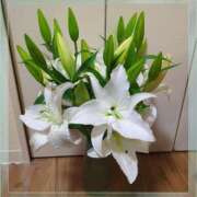 ヒメ日記 2025/11/08 15:18 投稿 しいな 妻天 京橋店