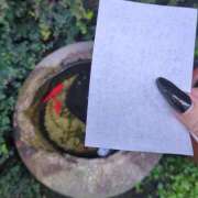 ヒメ日記 2025/11/22 09:18 投稿 しいな 妻天 京橋店