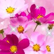 ヒメ日記 2025/12/05 17:18 投稿 しいな 妻天 京橋店