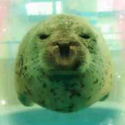 ヒメ日記 2025/12/10 17:19 投稿 しいな 妻天 京橋店