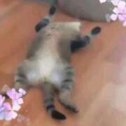 ヒメ日記 2025/12/15 04:58 投稿 しいな 妻天 京橋店