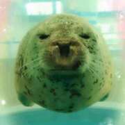 ヒメ日記 2025/12/19 15:28 投稿 しいな 妻天 京橋店