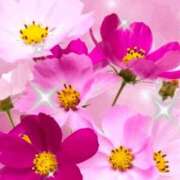 ヒメ日記 2025/12/21 08:08 投稿 しいな 妻天 京橋店