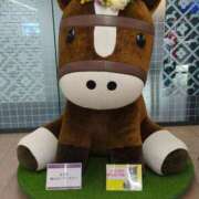 ヒメ日記 2025/12/29 18:26 投稿 しいな 妻天 京橋店