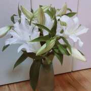 ヒメ日記 2026/01/17 07:18 投稿 しいな 妻天 京橋店