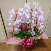 ヒメ日記 2026/02/12 22:17 投稿 しいな 妻天 京橋店