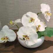 ヒメ日記 2026/02/15 16:39 投稿 しいな 妻天 京橋店