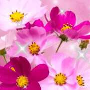 ヒメ日記 2026/02/16 15:17 投稿 しいな 妻天 京橋店