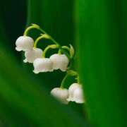 ヒメ日記 2026/02/20 09:34 投稿 しいな 妻天 京橋店