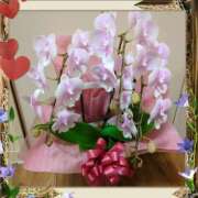 ヒメ日記 2026/03/06 19:34 投稿 しいな 妻天 京橋店