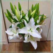 ヒメ日記 2026/03/11 15:11 投稿 しいな 妻天 京橋店