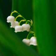 ヒメ日記 2026/04/04 06:44 投稿 しいな 妻天 京橋店