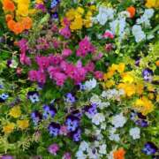 ヒメ日記 2026/05/09 05:34 投稿 しいな 妻天 京橋店