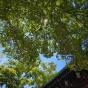 ヒメ日記 2026/06/01 15:14 投稿 しいな 妻天 京橋店