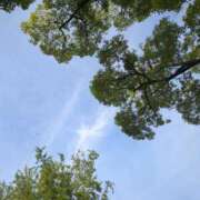 ヒメ日記 2026/06/06 07:24 投稿 しいな 妻天 京橋店